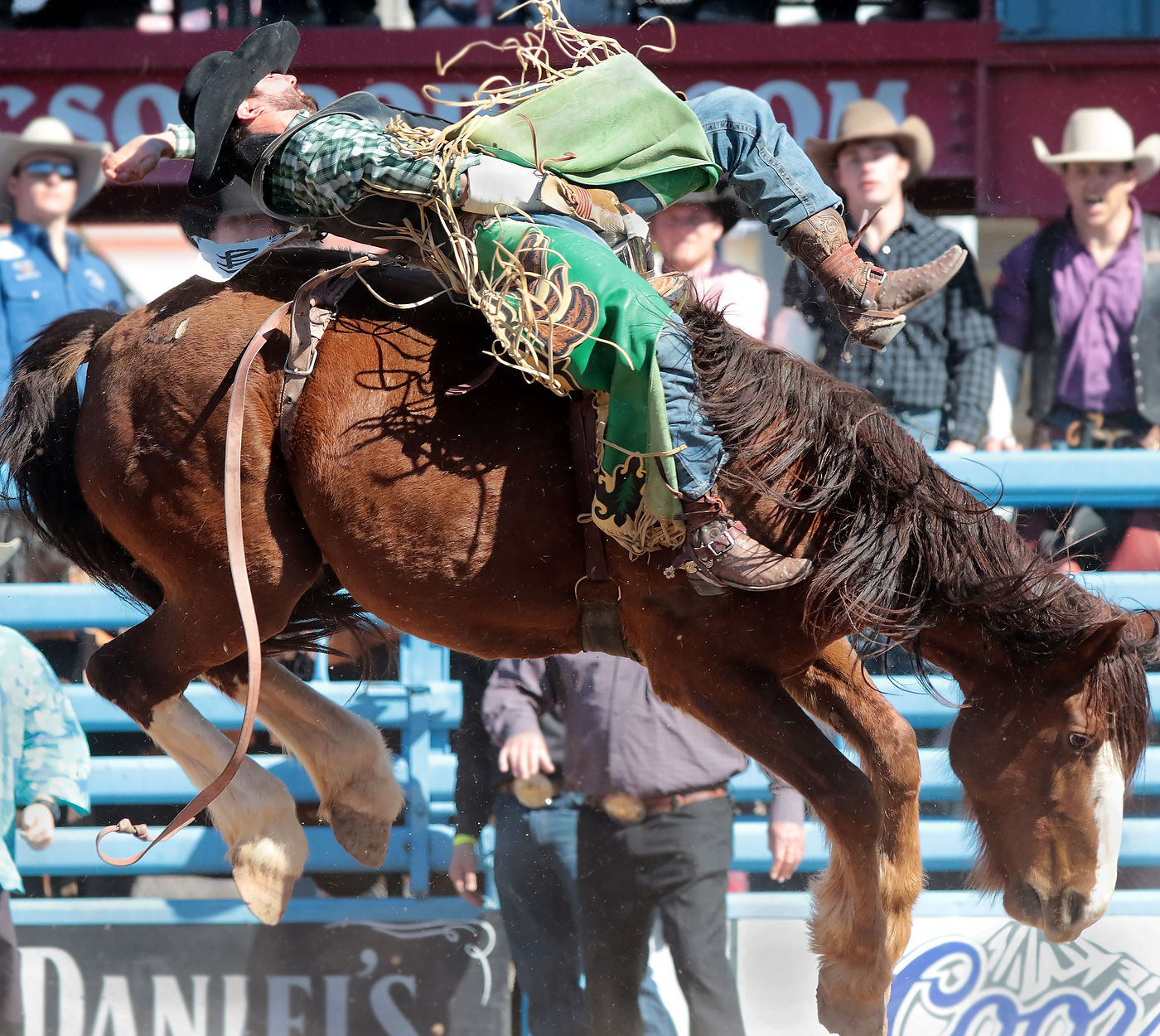2018 La Fiesta de los Vaqueros Tucson Rodeo